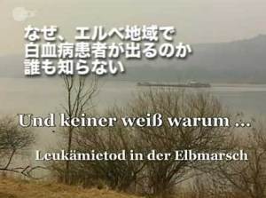 原発と白血n病の因果関係 原発と白血n病の因果関係